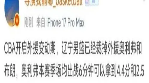 中国男子冰球职业联赛：迈向巅峰的破冰征程